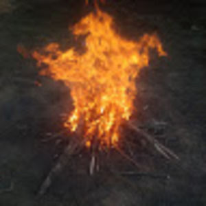 Meet your Posher, Sam